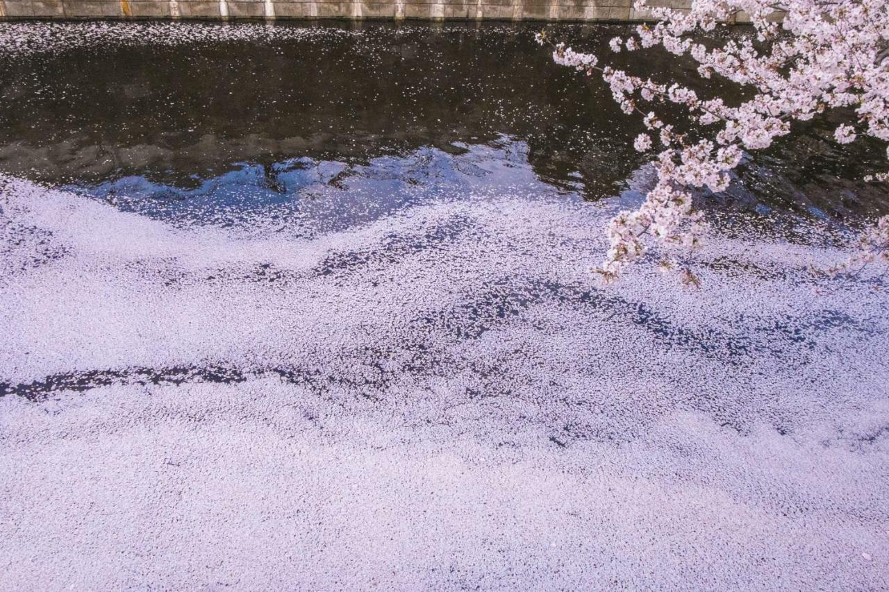Loft Hotel Tokyo #Meguro Eksteriør bilde